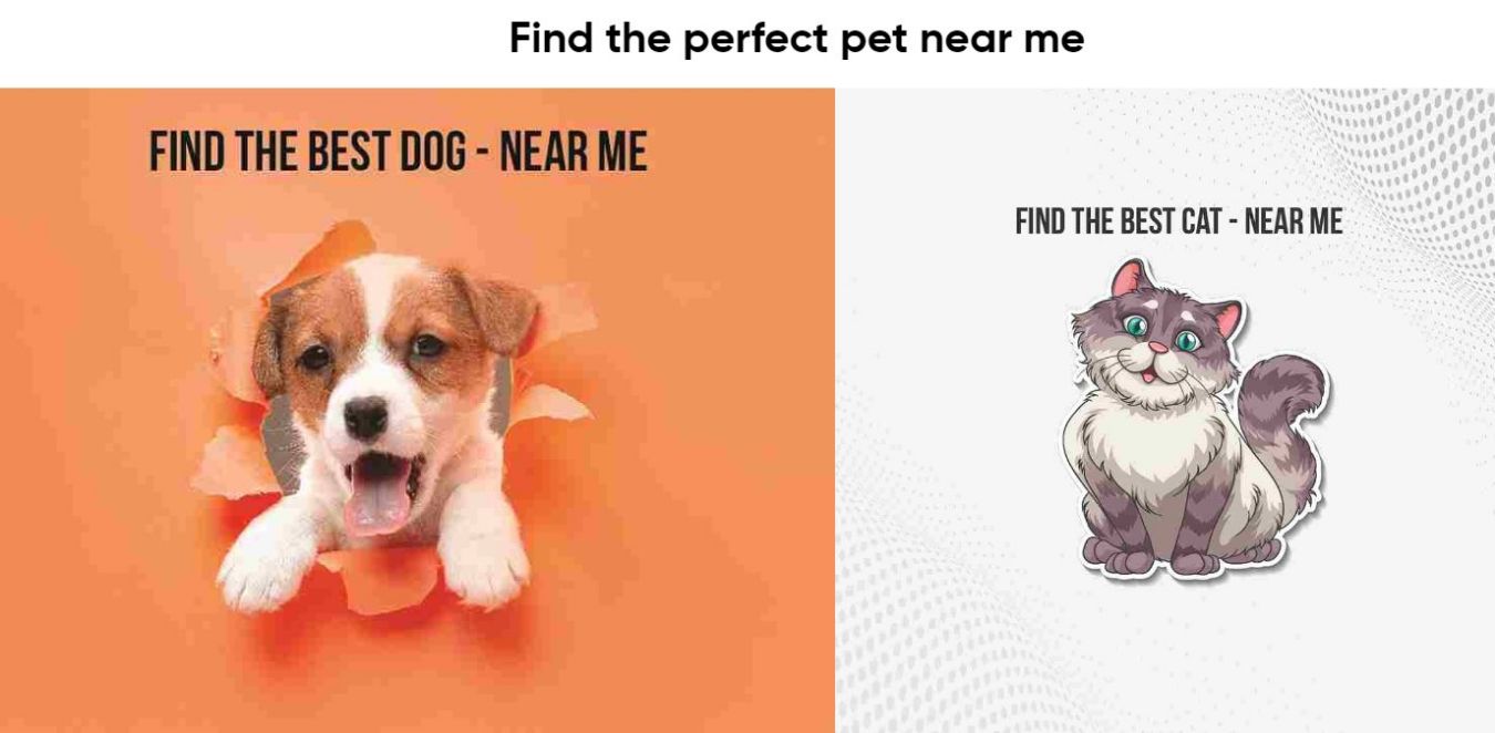 Find The Perfect Pet Near Me - But How?
